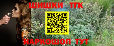 индика Можайск