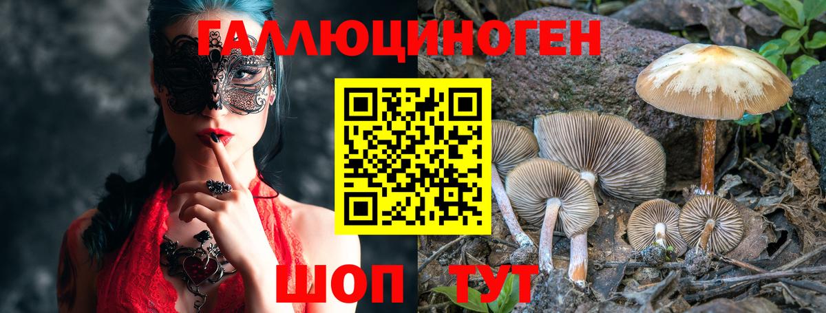 Добрянка  Галлюциногенные грибы мухоморы  Галлюциногенные грибы MAGIC MUSHROOMS  Вход с VPN 
